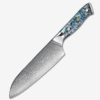 Santoku Knife