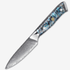 Paring knife