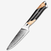 Fruit Knife